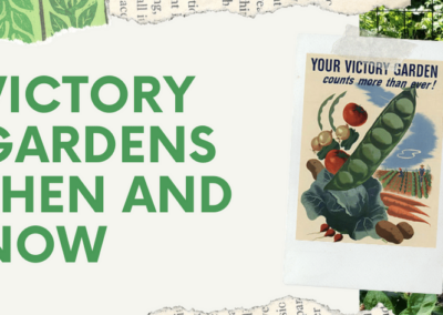 Victory Gardens – Now and Then