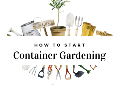 How To Start Container Gardening