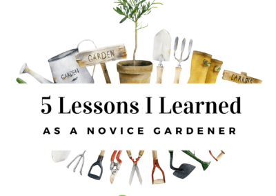5 Lessons I Learned As A Novice Gardener