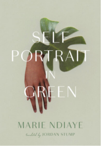 Self-Portrait in Green by Marie NDiaye