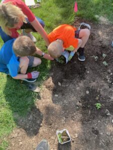 Kids planting in a garden