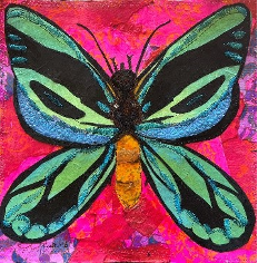 art of green and black butterfly on pink background.