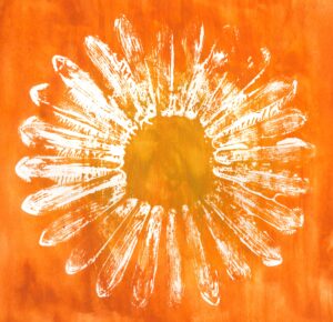 white flower on orange background