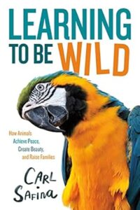 learning to be wild by Safina