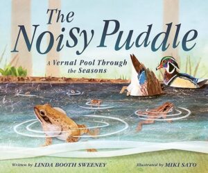 The Noisy Puddle by Linda Booth Sweeney