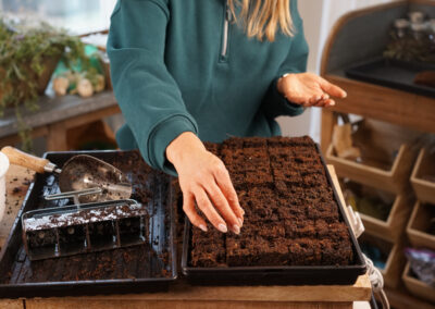 Soil Blocking: A New Gardening Technique