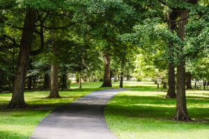 path in a park