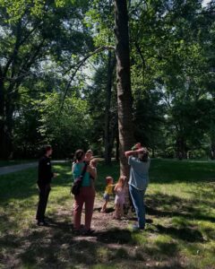 family looking up at a tree