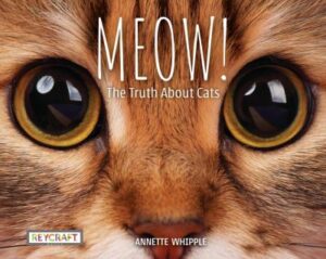 Meow!