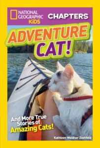 Adventure Cat