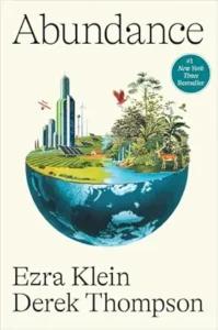 abundance ezra klein