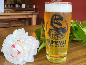 Primeval beer in pint glass on table w/ peony bloom