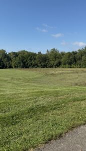 photo of a meadow after flooding has receded