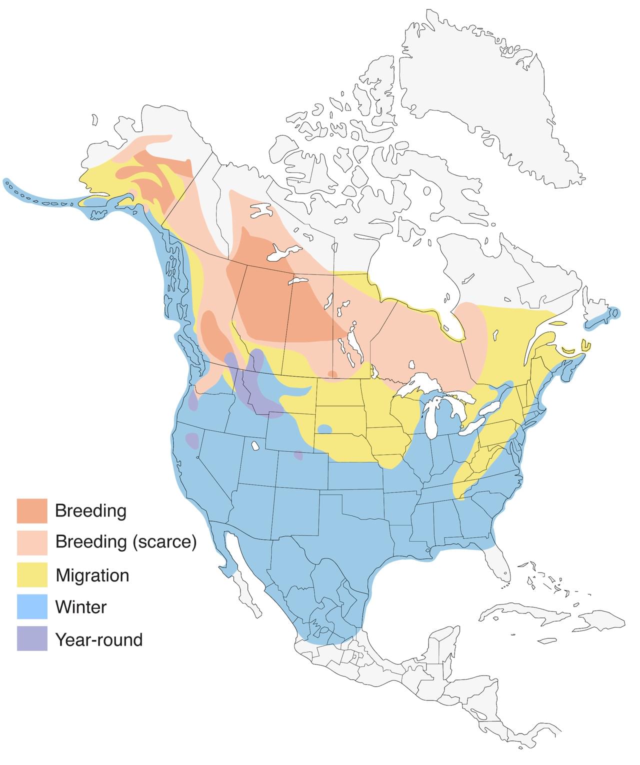Bufflehead Range Map